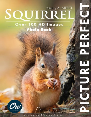 Squirrel Picture Perfect Photo Book