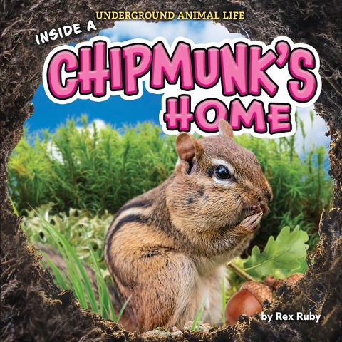 Inside a Chipmunks Home