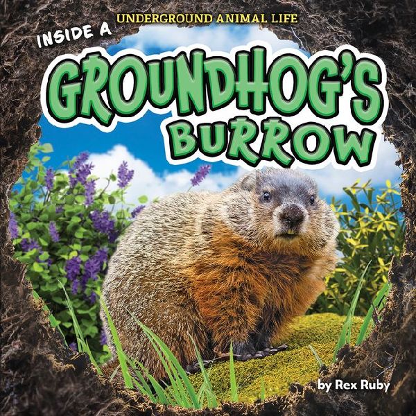 Inside a Groundhogs Burrow