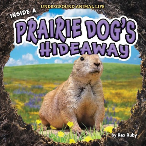 Inside a Prairie Dogs Hideaway