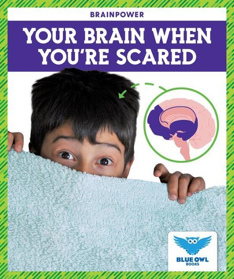 Your Brain When Youre Scared