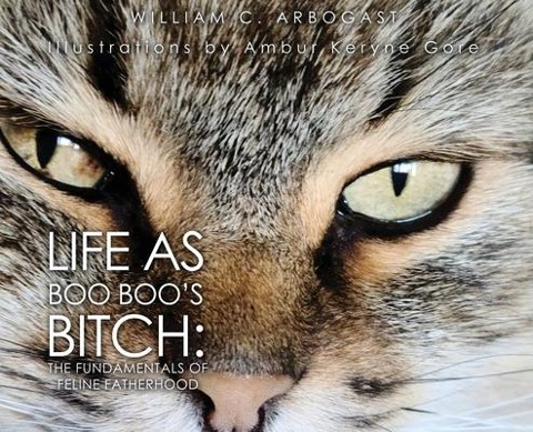 Life as Boo Boos Bitch: The Fundamentals of Feline Fatherhood