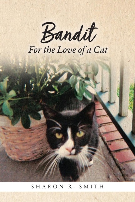 Bandit: For the Love of a Cat
