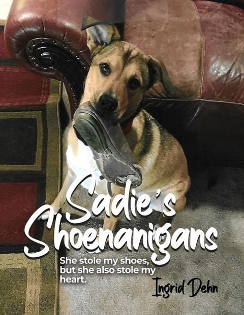 Sadies Shoenanigans