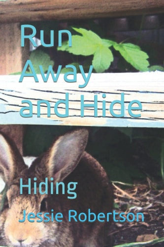 Run Away and Hide Hiding