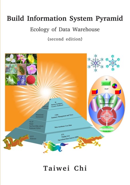 Build Information System Pyramid: Ecology of Data Warehouse