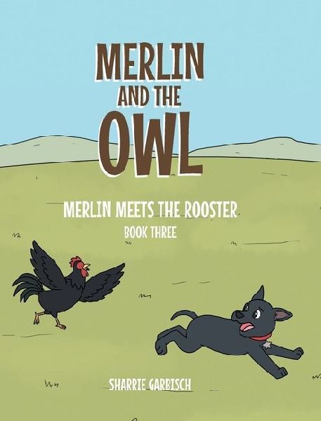 Merlin and the Owl;: Merlin Meets the Rooster