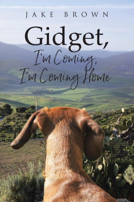 Gidget, Im Coming, Im Coming Home