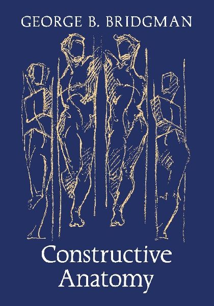 Constructive Anatomy