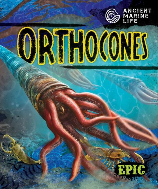 Orthocones