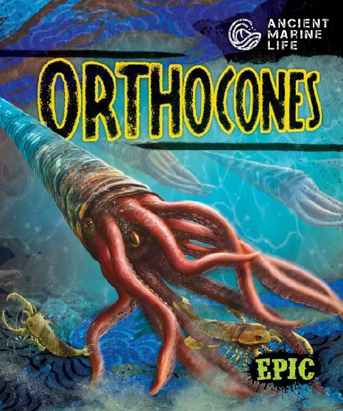 Orthocones