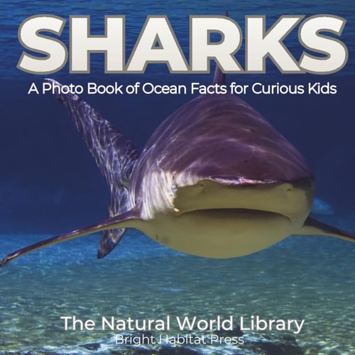 Sharks: A Photo Book of Ocean Facts for Curious Kids (The Natural World Library)