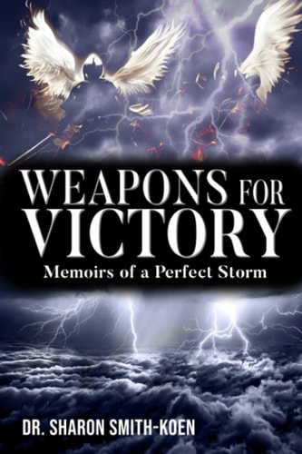 Weapons for Victory Memoirs of a Perfect Storm
