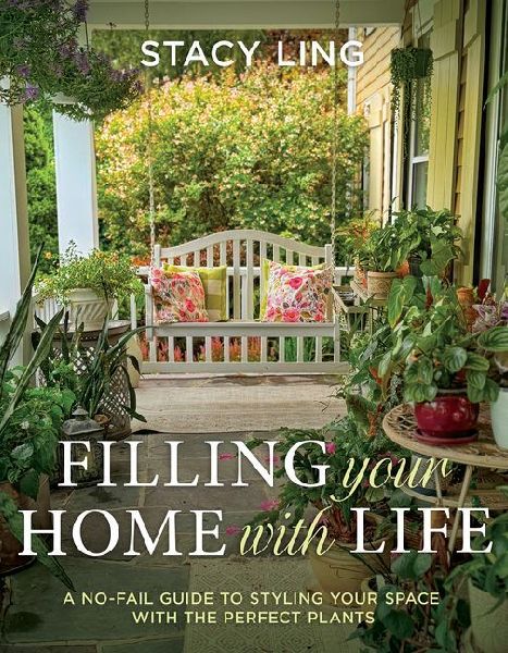 Filling Your Home with Life: A No-Fail Guide to Styling Your Space with the Perfect Plants (Tips for Caring for Indoor and Potted Plants)
