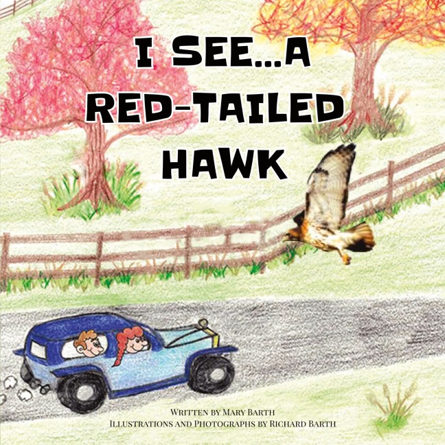 I See... A Red-Tailed Hawk