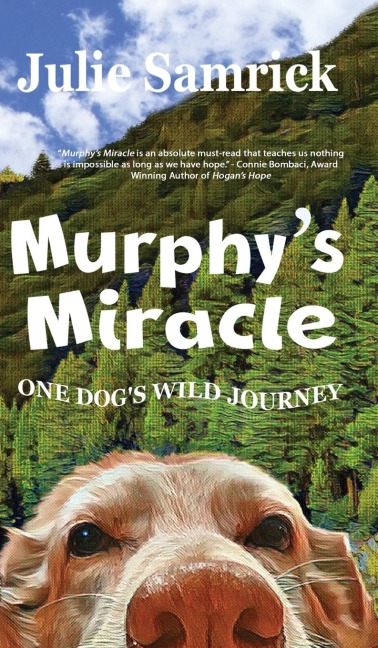 Murphy's Miracle: One Dog's Wild Journey