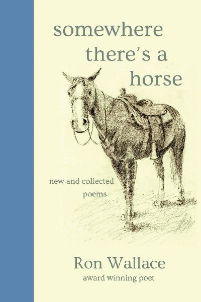 Somewhere Theres a Horse