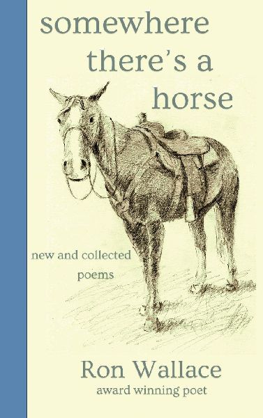 Somewhere Theres a Horse