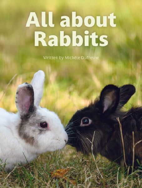 All about Rabbits
