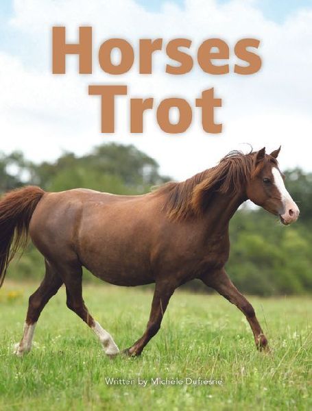 Horses Trot