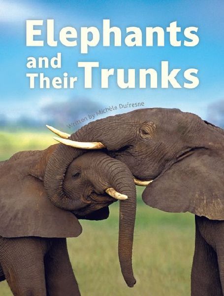Elephants and Their Trunks