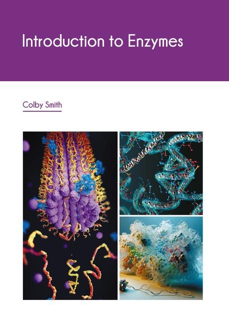 Introduction to Enzymes