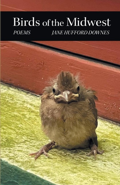 Birds of the Midwest