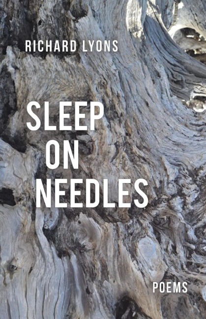 Sleep on Needles