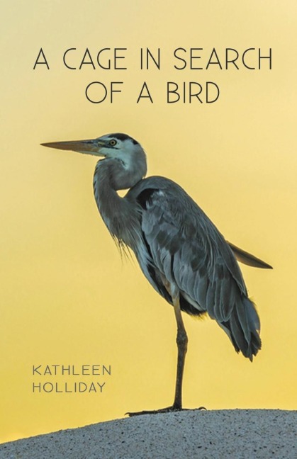 A Cage in Search of a Bird