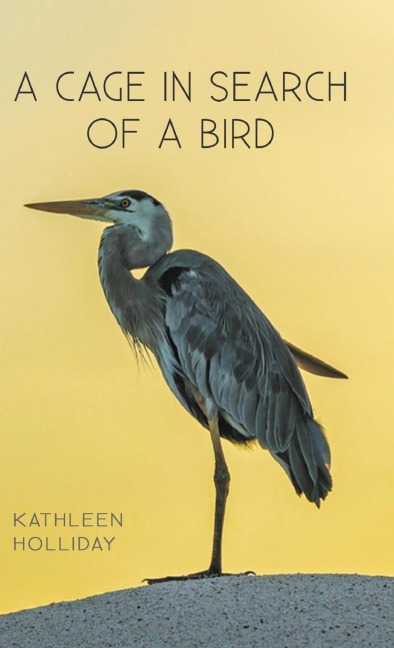 A Cage in Search of a Bird