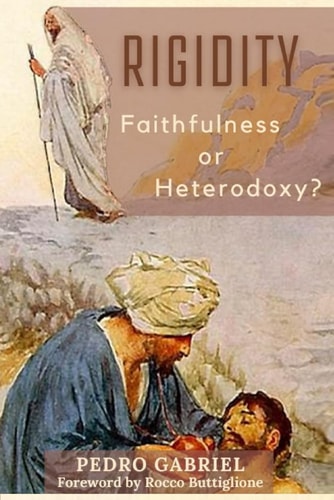 Rigidity Faithfulness Or Heterodoxy?