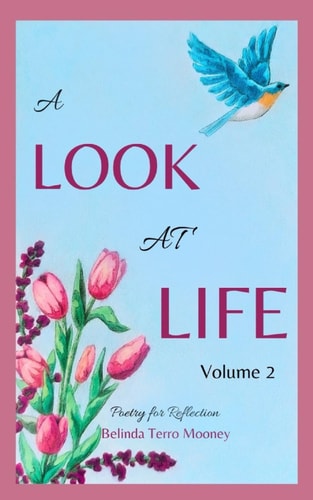 A Look at Life Poetry for Reflection, Vol. 2