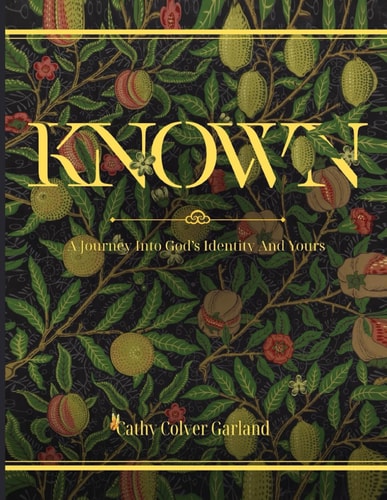 Known A Journey Into God's Identity and Yours