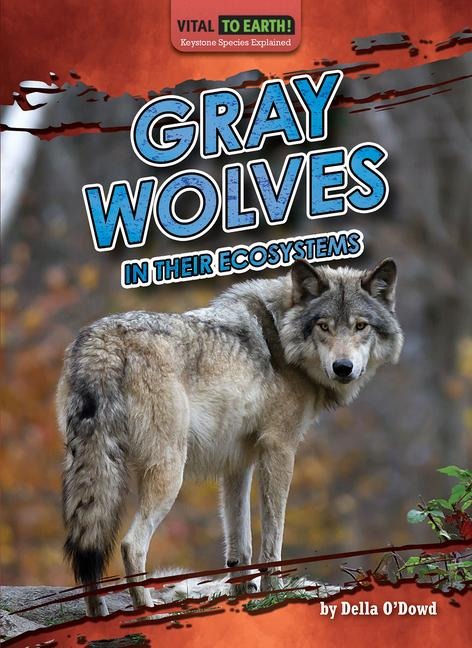 Gray Wolves in Their Ecosystems