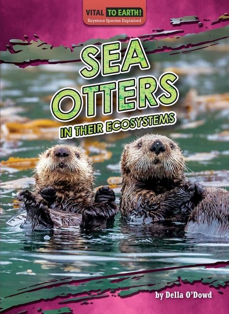 Sea Otters in Their Ecosystems