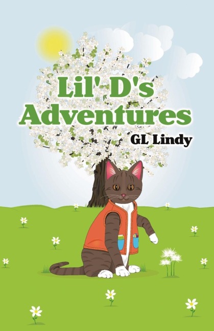 Lil Ds Adventures