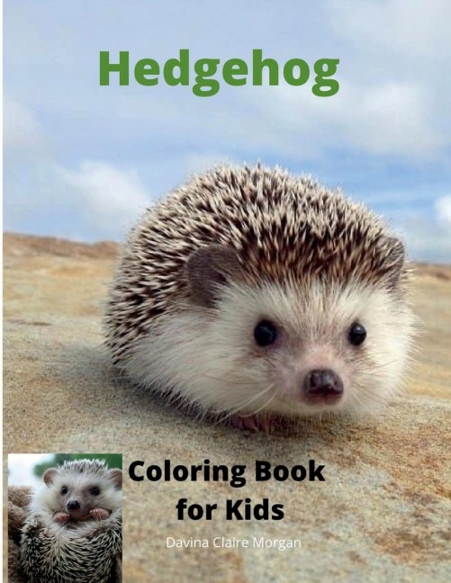 Hedgehog Coloring Book for Kids: Children Activity Book for Boys and Girls Ages 3-8 with Super Cute Hedgehog A Super Cool Gift for Boys and Girls Ages 3-8 - Hedgehog Coloring and Activity Book A Unique Collection Hedgehog Pages