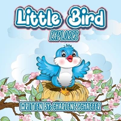 Little Bird: Explores