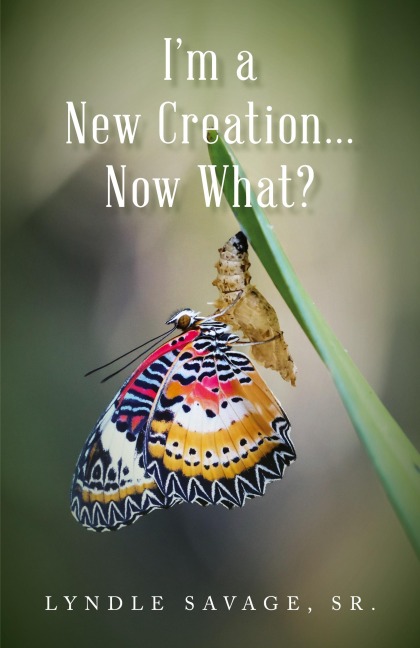 I'm a New Creation... Now What?