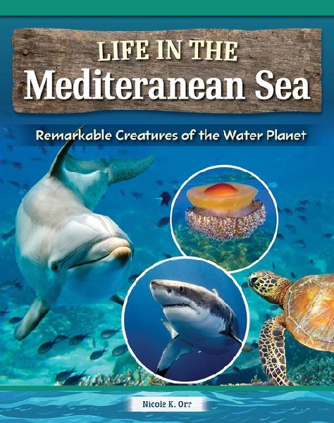 Magnificent Creatures of the Mediterranean Sea: Learn about Animals Including Sharks, Sea Urchins, Cuttlefish, and the Fried Egg Jellyfish!