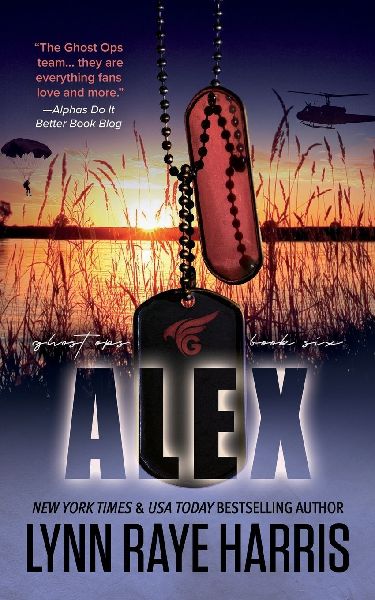 Alex: A Small Town, Enemies to Lovers, Military Protector Romance