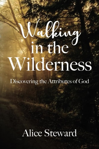 Walking in the Wilderness Discovering the Attributes of God