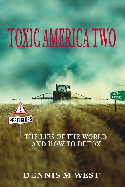 Toxic America 2: The Lies Of The World And  How To Detox