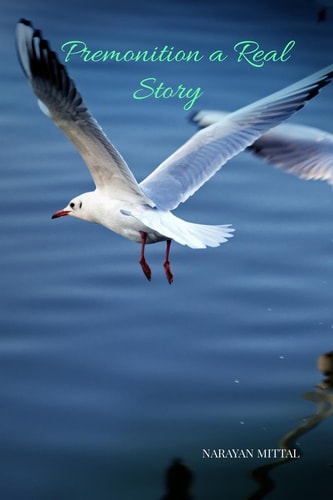 Premonition a True Story