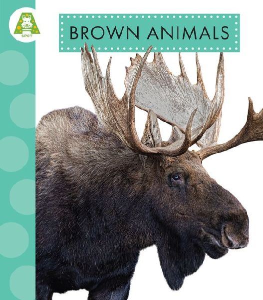 Brown Animals