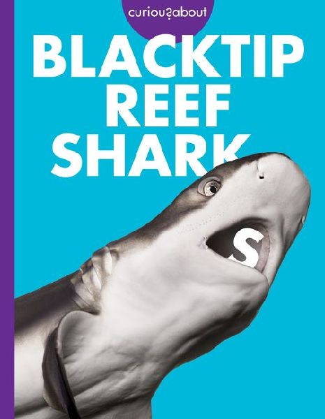 Curious about Blacktip Reef Sharks