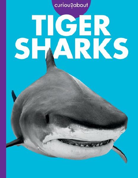 Curious about Tiger Sharks