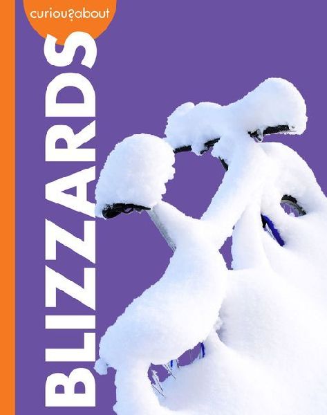 Curious about Blizzards