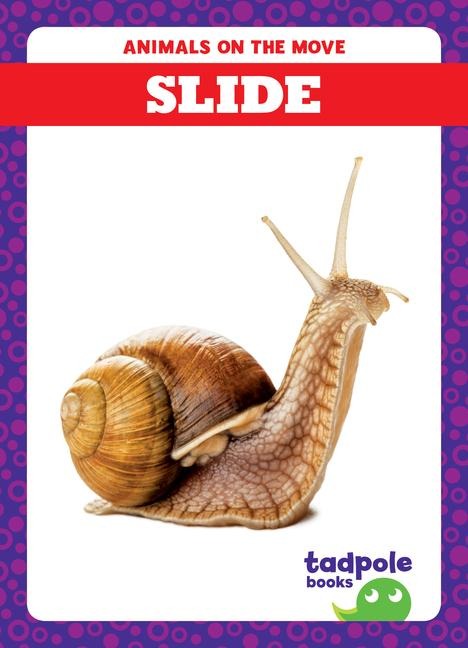Slide