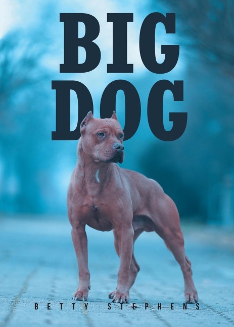 BIG DOG